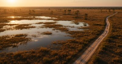 Flood zones and wetlands on Florida vacant land: how to read the maps before you buy