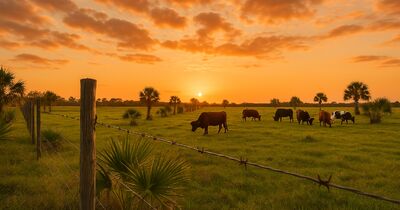Property taxes on Florida vacant land: what owners actually pay