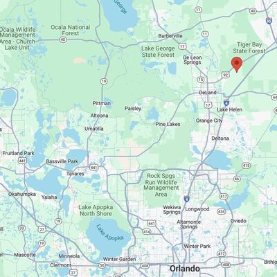 1.25 Acres for Investment off International Speedway Blvd (representative photo of the area)