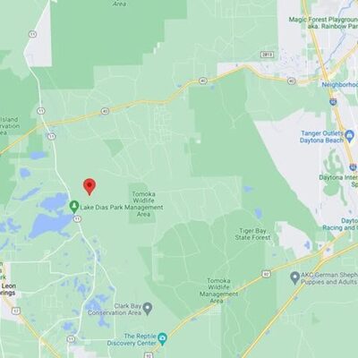 2.5 Acre Land Banking Opportunity in Deleon Springs (representative photo of the area)
