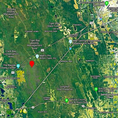 1.25 Acres for Investment off International Speedway Blvd (representative photo of the area)