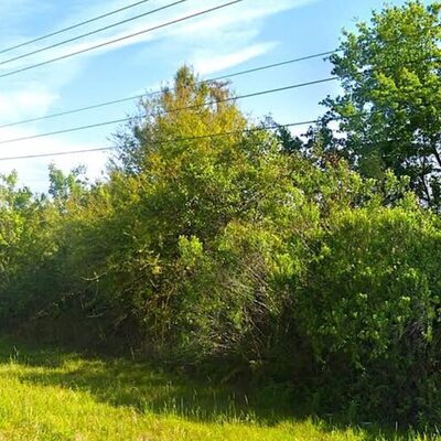 3.46 Acre 4 Lot Investment Package in the I-4 Corridor (representative photo of the area)