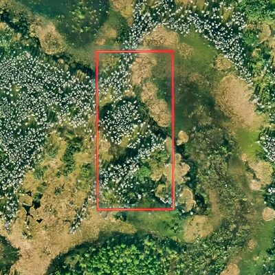 4.47 Acres for Investment Between Orlando and Tampa (representative photo of the area)