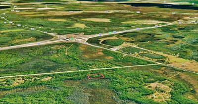 Over Two Acres One Lot From the Road Near the I-4 Interchange (representative photo of the area)